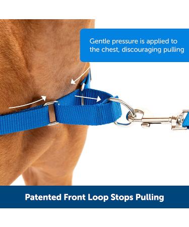 PetSafe Easy Walk No-Pull Dog Harness, Black/Silver, M/L - Buy Online on GoSupps.com