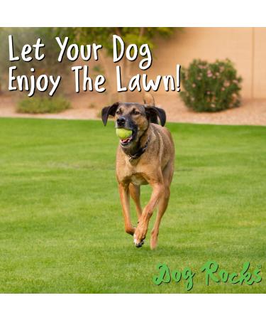 Dog Rocks 100% Natural Urine Patch Preventer - 200g Bag - Buy Online on GoSupps.com