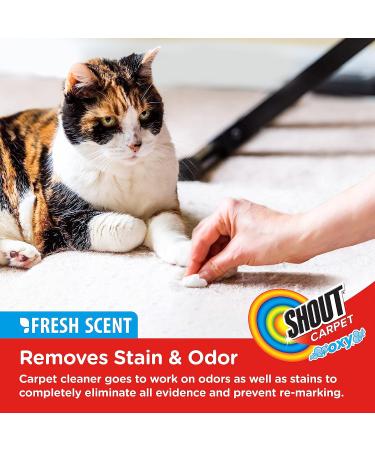 Shout Carpet Stain Remover & Odor Eliminator - 32oz Spray | Removes Tough Urine Stains, Prevents Retracking | Safe for Kids & Pets | Fresh Scent | Pack of 1 - Buy Online on GoSupps.com