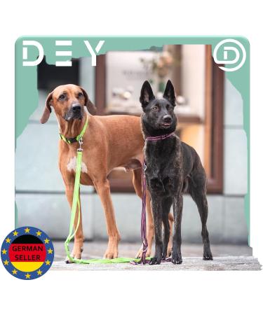 Buy Dey Premium 2m Dog Leash | Reflective 3-Way Adjustable | For All Dog Sizes | Multiple Colors | Doubleein Tow & Fire Leash | Red L - 2.5 x 200 cm - Buy Online on GoSupps.com