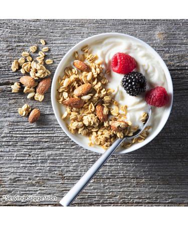 Bear Naked Granola (V'Nilla Almond Fit 12-Ounce Bags Pack of 6) - Buy Online on GoSupps.com