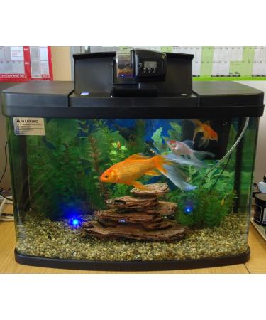 Interpet Insight Aquarium Auto Feeder - Black | Convenient Automatic Fish Feeding Solution - Buy Online on GoSupps.com