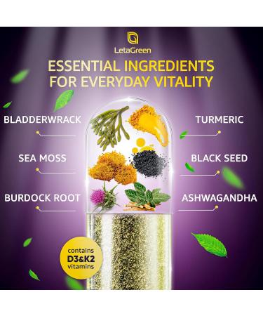 LetaGreen Sea Moss and Lion s Mane Bundle Wild Sea Moss Capsules and Lions Mane Supplement Capsules Mind Balance & Daily Wellness 240 Count Plant-Based Supplement - Buy Online on GoSupps.com
