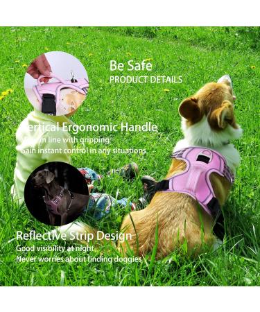 Funfox No Pull Dog Harness for Small Dogs | Adjustable & Breathable Safety Harness | Pink | Perfect for Medium & Small Breeds - Buy Online on GoSupps.com