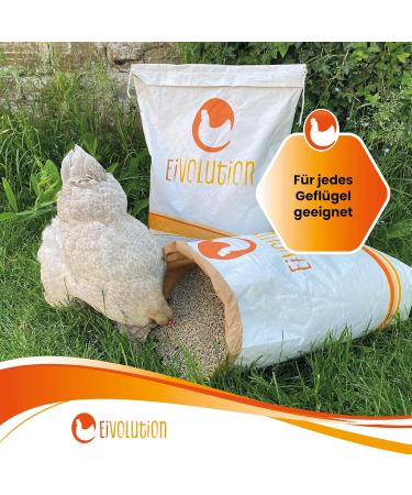 Egg Volution Organic Chicken Food 800g - Premium Laying Flour with Oregano for Hens Quail & Poultry - Healthy & Delicious Single Feed - Buy Online on GoSupps.com
