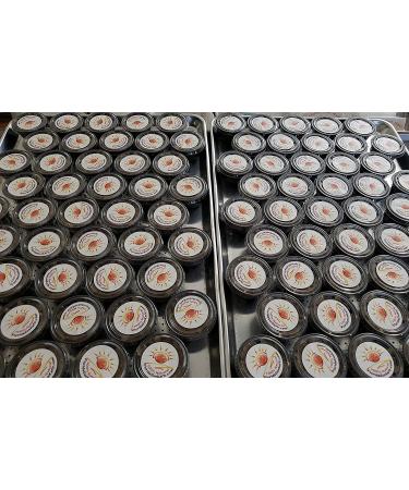 Florida Sun Kefir Original Water Kefir Grains - 1/4 lb with 12 Brewing Bags - Buy Online on GoSupps.com