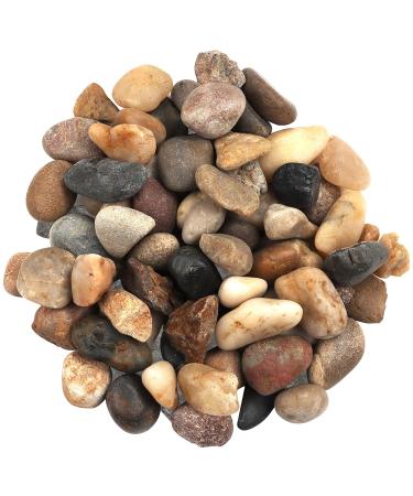 Belle Vous 3.6kg Bag Decorative Natural Pebbles - 1.4-2.6cm/ 0.55-1.02 inch Mini Assorted Pebble Stones - Mixed River Gravel for Vase Filler Plant Pots Landscaping Aquariums Home and Garden - Buy Online on GoSupps.com