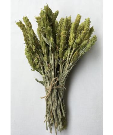 Athangeon Ltd Minotaur Herbs Organic Greek mountain tea from Olymp 200 g High quality from controlled organic cultivation - Buy Online on GoSupps.com