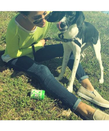 Trident Vibes Rush Sugar - Spearmint - 40 Pieces - Buy Online on GoSupps.com