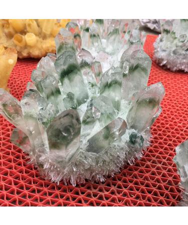 Specimen Healed Natural Green Ghost Phantom Quartz Crystal Cluster Specimen As a Gift ERTEYIN - Buy Online on GoSupps.com