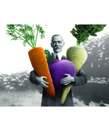 Tyrrell's Vegetable Crisps Beetroot/Parsnip/Carrot with Pinch of Salt 150g - Buy Online on GoSupps.com