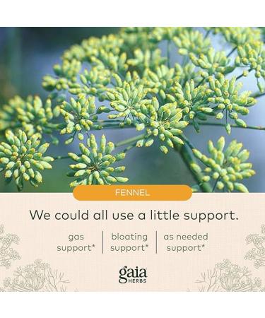 Gaia Herbs Gas & Bloating - Provides Relief from Occasional Gas and Bloating - with Activated Charcoal, Fennel, Chamomile, Cumin, and Peppermint Leaf Essential Oil - 50 Vegan Capsules (25-Day Supply) - Buy Online on GoSupps.com