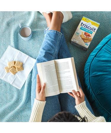 Triscuit Hint of Sea Salt Whole Grain Wheat Crackers 8.5 oz (Pack of 6) - Lightly Salted Snack Option - Buy Online on GoSupps.com