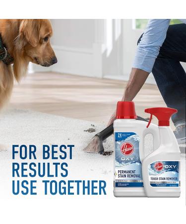 Hoover Oxy Spot and Stain Remover 22oz Spray for Carpet & Upholstery - AH30902 - Buy Online on GoSupps.com
