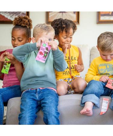 Buy Bear Fruit Rolling Apple - 100% Natural No Added Sugar Healthy Snack | 30 Bags x 20g | Ideal for Kids & Adults | 600g Green - Buy Online on GoSupps.com