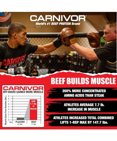 MuscleMeds Carnivor RTD Sampler Pack Ready to Drink Protein Lactose Free Sugar Free Isolate Protein Muscle Building Recovery 16.9 Fl Oz Liquid (5 pack) Variety 5-pack 1.06 Pound (Pack of 5) - Buy Online on GoSupps.com