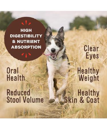 Primal Pet Foods Raw Dog Food Nuggets Complete & Balanced Meal Use as Topper or Treat - Premium - Healthy - Grain Free -  High Protein Raw Dog Food, 14 oz - Duck Flavor - Buy Online on GoSupps.com