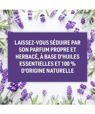 Schmidt's Natural Deodorant Stick Lavender & Sage Deodorant without Aluminium for Long-Lasting Freshness 75 g Pack of 1 - Buy Online on GoSupps.com