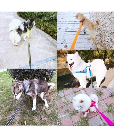 Durable Dog Leash for Puppies | Padded 1.1m Pet Leash Rope | Black | 1 Pack - Buy Online on GoSupps.com