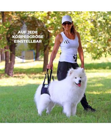 Nature PET Carrier for Dogs - Stair Aid Lift Strap for Older & Sick Dogs - Black L (1 Pack) | International Shipping - Buy Online on GoSupps.com