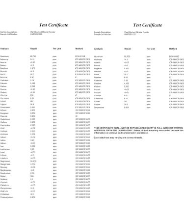 Sizzling Plant-Derived 75 Minerals Orange & Natural Flavour - Bio-Available Formula - Buy Online on GoSupps.com