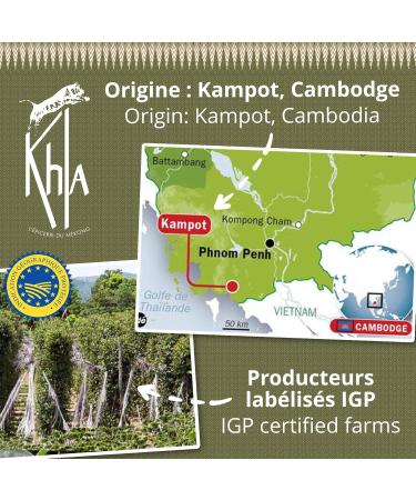 Khla - Fresh Green Pepper from Kampot Certified Organic 500 g - Organic Peppercorn Bag - Grand Cru Aromatic & Vegetable - Direct Producer - Aperitif Sauces - Origin Cambodia - Buy Online on GoSupps.com