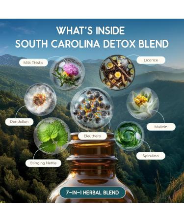 HerbEra South Carolina Herbal Detox Blend - USDA Organic Extract Made in USA | Immune & Liver Support Liquid Drops | Dandelion Root Eleuthero Licorice Milk Thistle | 2 fl oz - Buy Online on GoSupps.com