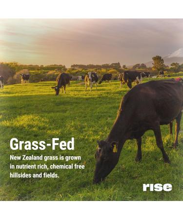 Rise Grass Fed Whey Protein Powder 25 g Protein No Artificial Sugar Free Gluten-Free Soy Free - Chocolate Almond - 1.3 Oz - Buy Online on GoSupps.com