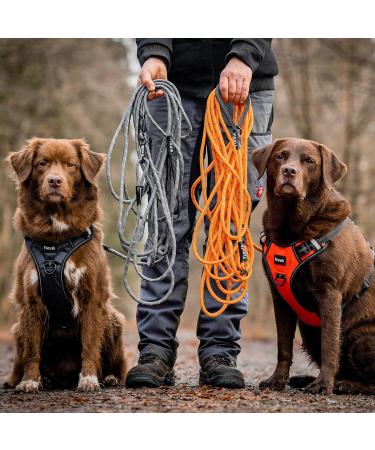 Buy Floxic Tow Lines for Dogs - 5m 10m 15m 20m Gray | Reflective Tether with Removable Hand Loop | Ideal for Puppy Training - International Shipping Available - Buy Online on GoSupps.com