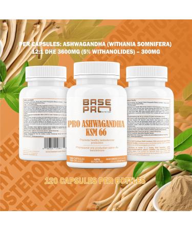 NEW KSM-66 Ashwagandha | 60 Days Supply | Ashwagandha KSM-66 600mg per Day | 5% Withanolides | Athletic Support & Promote Physical Performance | - Buy Online on GoSupps.com