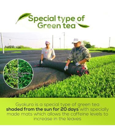 Gyokuro Green Tea Japanese Green Tea Loose Leaf Yabukita High Caffeine Loose Leaf Tea Antioxidant-Rich Green Tea Loose Leaf Vegan and All-Natural Loose Leaf 3.5oz - Buy Online on GoSupps.com