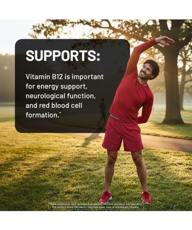 NatureWise Vitamin B12 500 mcg - B12 Supplement for Energy + Mental Clarity & Nervous System Support - Easy-to-Swallow Vegan & Non-GMO - USA Manufactured - 100 Tablets 100-Day Supply  - Buy Online on GoSupps.com
