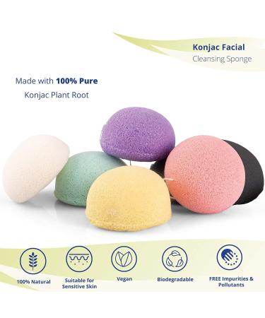 Blue 100% All Natural Organic Teardrop Konjac Facial Sponges - 2 Pack for Gentle Cleansing and Exfoliation - Buy Online on GoSupps.com