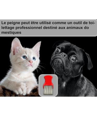Peigne Anti Poux et Lentes 100% Naturel Peigne Fin Efficace pour Toute la Famille B b et Animaux comme Chien ou Chat Anti Puces Anti Tiques et Pellicules - Buy Online on GoSupps.com