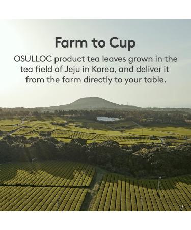 Osulloc Raps Honey Tea - Premium Jeju Blend with Aromatic Rapeseed & Sweet Honey 20 Tea Bags (30g) - Buy Online on GoSupps.com