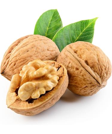 Walnut Oil 3 liters Hortus Verdi Cold Pressed 100% Natural - European Sourced - RAW VEGAN - Extra Virgin - Unrefined - Gluten Free - Buy Online on GoSupps.com