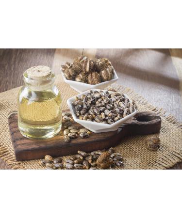Dr Joe Lab Castor Oil Cold Pressed Castor Oil Unrefined Pure Hexane Free Non GMO - Natural Moisturizing Hydrating Hair Skin Face Body Nails - 32 Oz - Buy Online on GoSupps.com