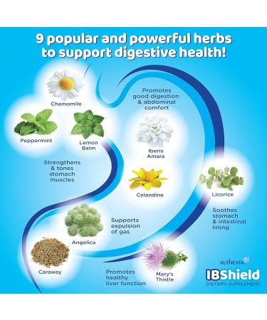 IBShield Glycerin Tincture 100ml - Supports Healthy Gastrointestinal Function with 9 Herb Blend - Chamomile  Iberis Amara  Angelica  Caraway  Celandine  Licorice  Lemon Balm  Mary's Thistle & Peppermint - Buy Online on GoSupps.com