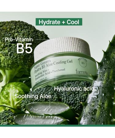 Farm Rx Super Greens Hyalru B5 Aloe Cooling Gel Cream - Ultra Lightweight Moisturizer with Hyaluronic Acid & Panthenol | Vegan Korean Skin Care for Plumping Hydration - 3 fl oz - Buy Online on GoSupps.com