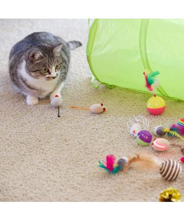 Youngever 24 Cat Toys Assortment - Interactive Tunnel, Teaser, Mouse, Crinkle Balls - Multicolor Kitten and Kitty Playset - Buy Online on GoSupps.com