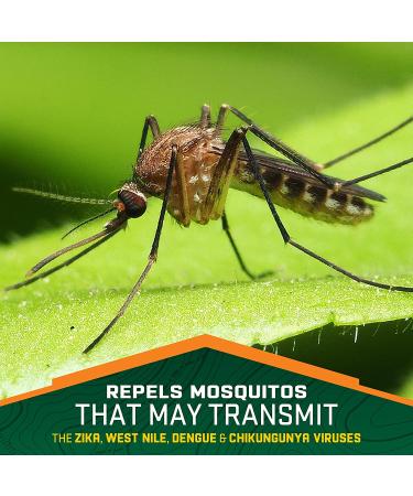 Repel 100 Insect Repellent Pump Spray 4oz - 10-Hour Protection | 1 Count - Buy Online on GoSupps.com