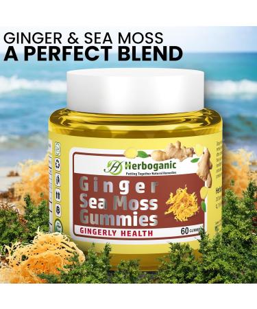 HERBOGANIC Ginger Sea Moss Gummies - Herbal Support for Immune & Digestive Health - Plant-Powered Gluten-Free & Vegan-Friendly - 60 Count Ginger 60 Count (Pack of 1) - Buy Online on GoSupps.com