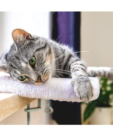 Pfotenolymp Premium Window Sill Cat Bed - Cozy Window Bed for Cats - Durable and Stylish Cat Perch - Buy Online on GoSupps.com