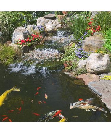 TetraPond Spring and Fall Diet Floating Pond Sticks Fish Food 7.05 Ounce (Pack of 1) - Buy Online on GoSupps.com