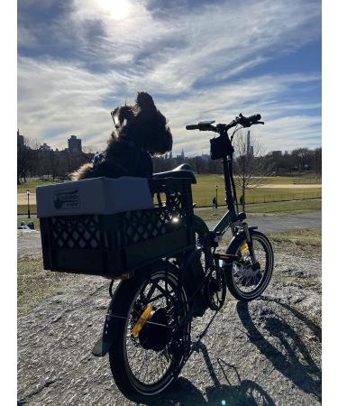 RuffLyfe DIY Crate Conversion/Bike Dog Carrier Package (Crate NOT Included) Padded Liner is 2 Sizes in One + 4 Point Safety Harness & Crate Fasteners Holds Pets 20lb+ for Safe Pet Bicycle Travel Light Grey - Buy Online on GoSupps.com