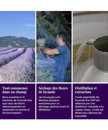 Organic Lavender Well-Being Gift Box in Provence - Relaxation Kit Lavender Exfoliating Soap Lavender Hand Cream Raw Lavender Bouquet and Bag of Lavender Flowers - Grown and Packaged in Provence - Buy Online on GoSupps.com