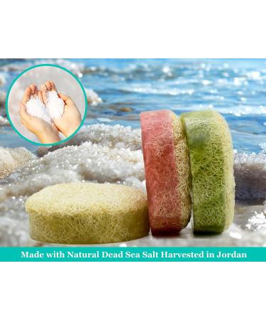 Loofah Soap Lemongrass | Large Exfoliating Luffa Bar with Organic Essential Oils & Dead Sea Salts | Therapeutic Handmade Soap | 250g/8.8oz - Buy Online on GoSupps.com