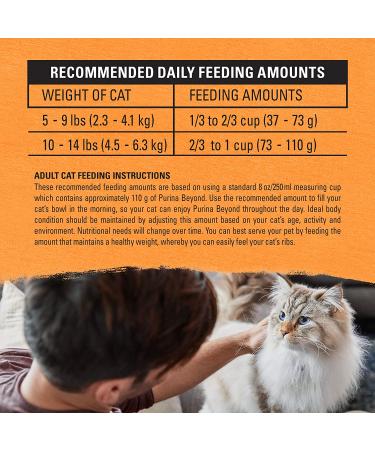 Purina Beyond Grain Free Natural Dry Cat Food - White Meat Chicken & Egg Recipe - 3 lb. Bag - Buy Online on GoSupps.com