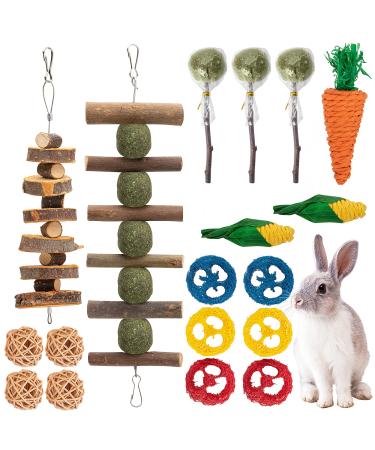 EBaokuup Bunny Chew Toys for Teeth, Rabbit Hamster Chew Toys for Dental Health, 100% Natural Apple Wood Grass Ball String Carrot Toys for Chinchillas, Guinea Pigs, Hamsters 18PCS