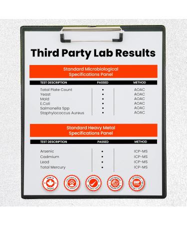 New! Thermogenic Fat Burner for Women and Men - Designed to Help Metabolize Carbohydrates & Fats | Appetite Suppressant - Could Help to Increase Satiety | Weight Loss Pills for Men & Women | Garcinia Cambogia Green Tea Extract Green Coffee Bean and Chromi - Buy Online on GoSupps.com